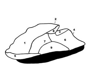 Custom Storage cover for Kawasaki 2007-2008 Ultra 250/Ultra LX/2008 Ultra 250/2009-2010 Ultra 260X/2